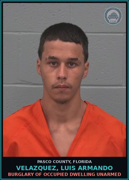 CCW arrest card for VELAZQUEZ, LUIS ARMANDO in Pasco County: DOMESTIC BATTERY