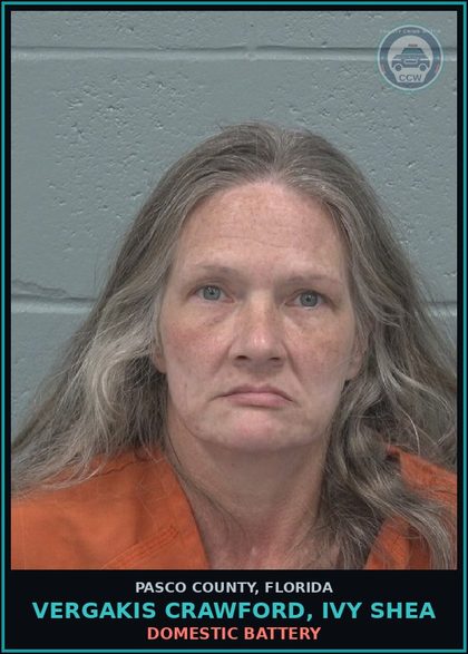 CCW arrest card for VERGAKIS CRAWFORD, IVY SHEA in Pasco County: DOMESTIC BATTERY