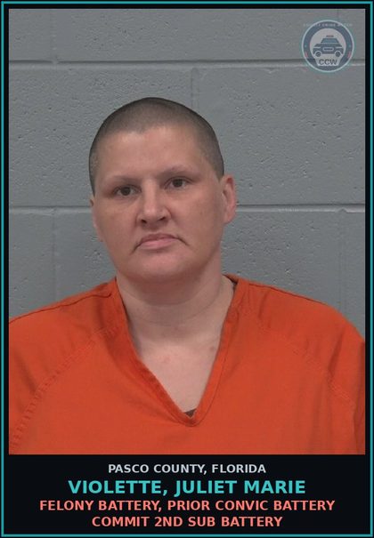 CCW arrest card for VIOLETTE, JULIET MARIE in Pasco County: FELONY BATTERY, PRIOR CONVIC BATTERY COMMIT 2ND SUB BATTERY