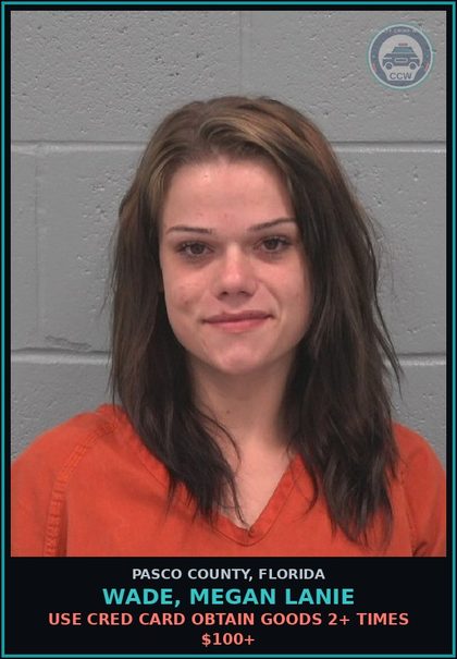 CCW arrest card for WADE, MEGAN LANIE in Pasco County: USE CRED CARD OBTAIN GOODS 2+ TIMES $100+