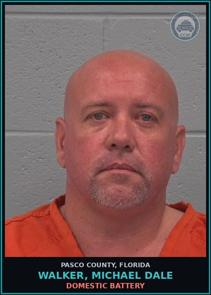 CCW arrest card for WALKER, MICHAEL DALE in Pasco County: DOMESTIC BATTERY
