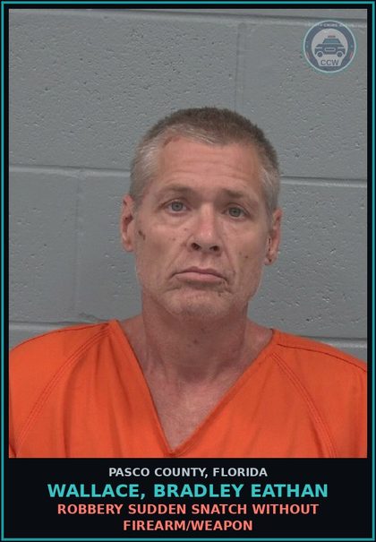 CCW arrest card for WALLACE, BRADLEY EATHAN in Pasco County: ROBBERY SUDDEN SNATCH WITHOUT FIREARM/WEAPON