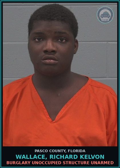 CCW arrest card for WALLACE, RICHARD KELVON in Pasco County: BURGLARY UNOCCUPIED STRUCTURE UNARMED