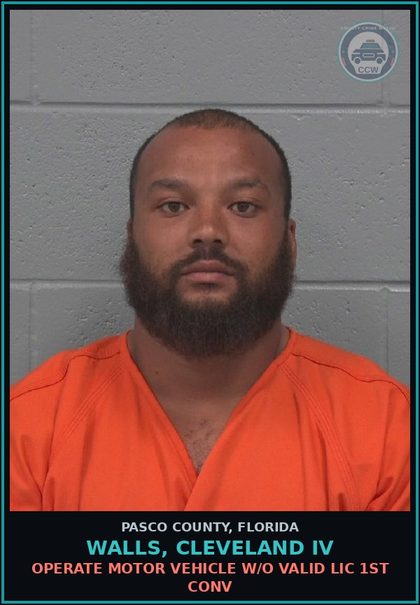 CCW arrest card for WALLS, CLEVELAND IV in Pasco County: OPERATE MOTOR VEHICLE W/O VALID LIC 1ST CONV