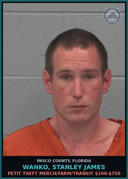 CCW arrest card for WANKO, STANLEY JAMES in Pasco County: PETIT THEFT MERCH/FARM/TRANSIT $100-$750