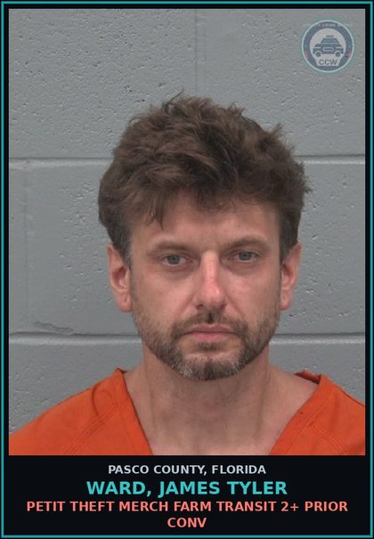 CCW arrest card for WARD, JAMES TYLER in Pasco County: PETIT THEFT MERCH FARM TRANSIT 2+ PRIOR CONV