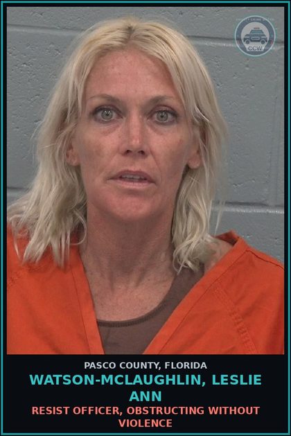 CCW arrest card for WATSON-MCLAUGHLIN, LESLIE ANN in Pasco County: POSSESS OR USE DRUG PARAPHERNALIA