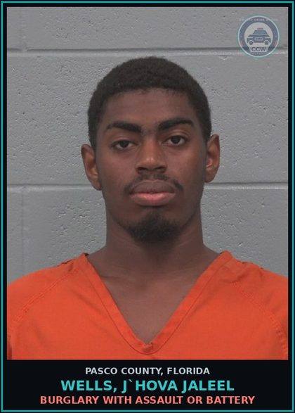 CCW arrest card for WELLS, J`HOVA JALEEL in Pasco County: DOMESTIC BATTERY