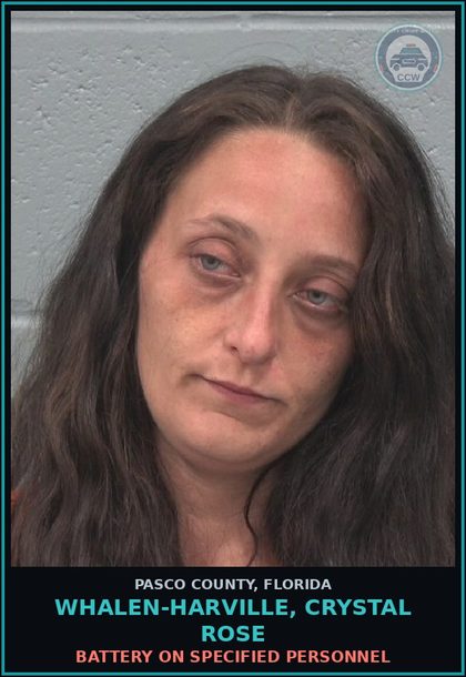 CCW arrest card for WHALEN-HARVILLE, CRYSTAL ROSE in Pasco County: BATTERY ON SPECIFIED PERSONNEL