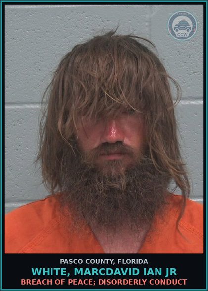 CCW arrest card for WHITE, MARCDAVID IAN JR in Pasco County: BREACH OF PEACE; DISORDERLY CONDUCT