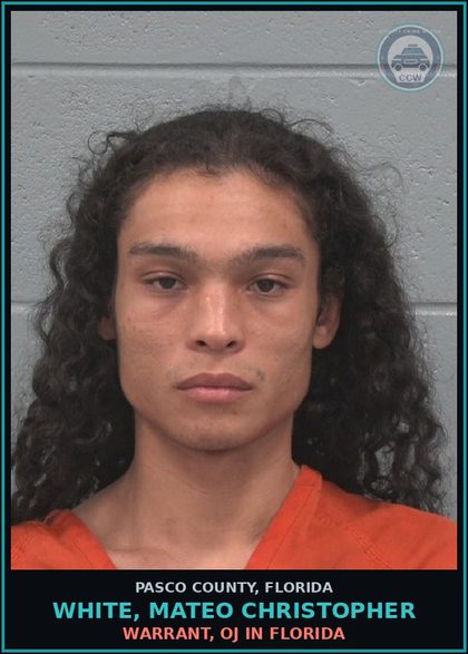 CCW arrest card for WHITE, MATEO CHRISTOPHER in Pasco County: WARRANT, OJ IN FLORIDA