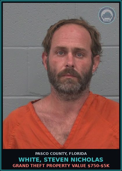 CCW arrest card for WHITE, STEVEN NICHOLAS in Pasco County: GRAND THEFT PROPERTY VALUE $750-$5K