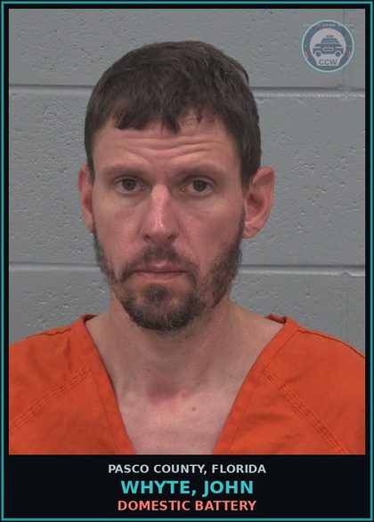 CCW arrest card for WHYTE, JOHN in Pasco County: DOMESTIC BATTERY