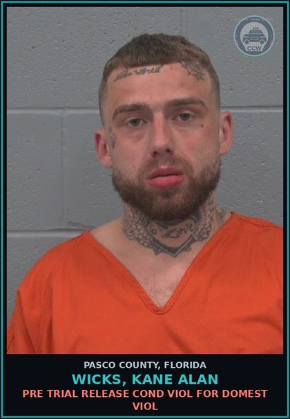 CCW arrest card for WICKS, KANE ALAN in Pasco County: PRE TRIAL RELEASE COND VIOL FOR DOMEST VIOL