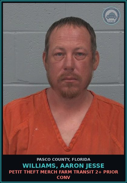 CCW arrest card for WILLIAMS, AARON JESSE in Pasco County: PETIT THEFT MERCH FARM TRANSIT 2+ PRIOR CONV