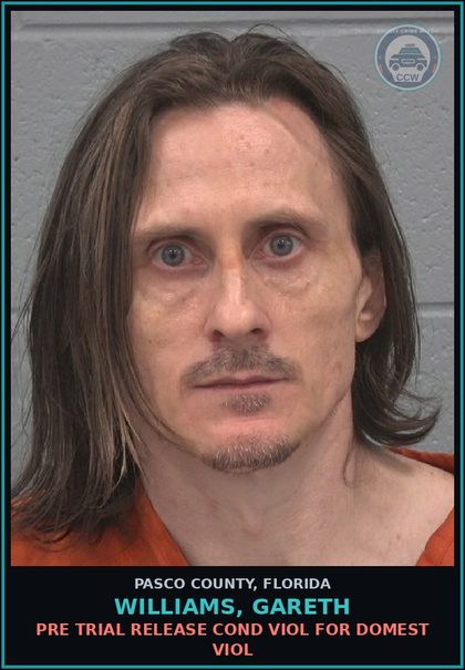 CCW arrest card for WILLIAMS, GARETH in Pasco County: PRE TRIAL RELEASE COND VIOL FOR DOMEST VIOL