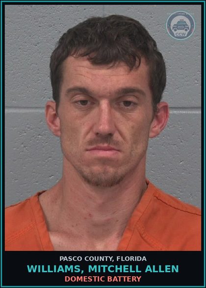 CCW arrest card for WILLIAMS, MITCHELL ALLEN in Pasco County: DOMESTIC BATTERY