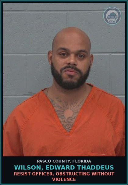 CCW arrest card for WILSON, EDWARD THADDEUS in Pasco County: RESIST OFFICER, OBSTRUCTING WITHOUT VIOLENCE