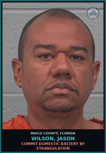 CCW arrest card for WILSON, JASON in Pasco County: COMMIT DOMESTIC BATTERY BY STRANGULATION