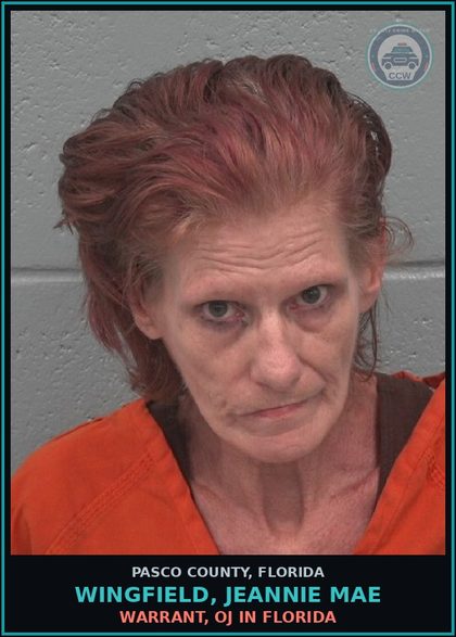 CCW arrest card for WINGFIELD, JEANNIE MAE in Pasco County: WARRANT, OJ IN FLORIDA