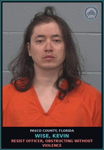 CCW arrest card for WISE, KEVIN in Pasco County: WEAR MASK, HOOD OR OTHER DEVICE ON PUBLIC WAY