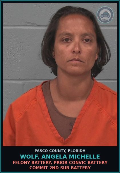 CCW arrest card for WOLF, ANGELA MICHELLE in Pasco County: FELONY BATTERY, PRIOR CONVIC BATTERY COMMIT 2ND SUB BATTERY