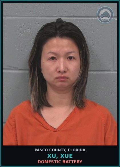 CCW arrest card for XU, XUE in Pasco County: DOMESTIC BATTERY