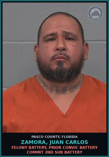 CCW arrest card for ZAMORA, JUAN CARLOS in Pasco County: ROBBERY SUDDEN SNATCH WITHOUT FIREARM/WEAPON