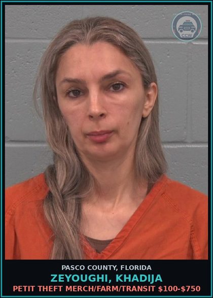 CCW arrest card for ZEYOUGHI, KHADIJA in Pasco County: PETIT THEFT MERCH/FARM/TRANSIT $100-$750