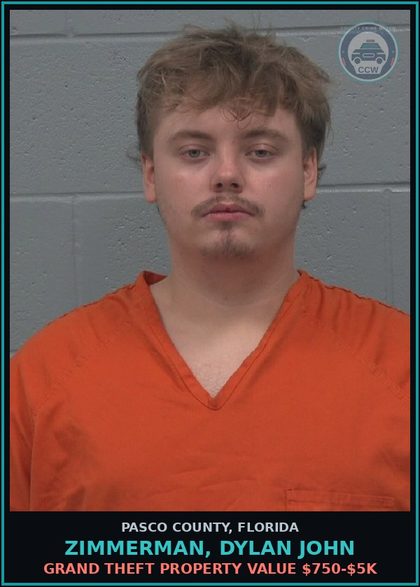 CCW arrest card for ZIMMERMAN, DYLAN JOHN in Pasco County: GRAND THEFT PROPERTY VALUE $750-$5K