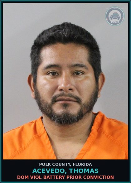 CCW arrest card for ACEVEDO, THOMAS in Polk County: Dom Viol Battery Prior Conviction