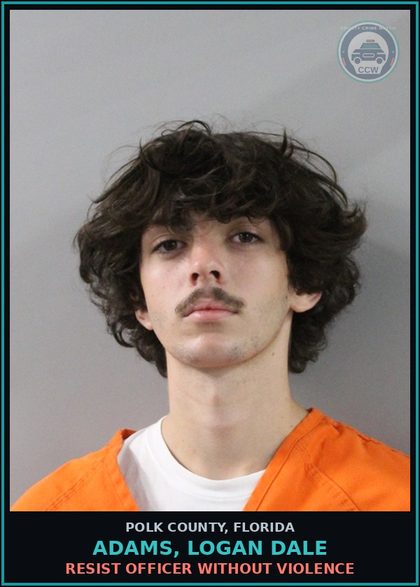 CCW arrest card for ADAMS, LOGAN DALE in Polk County: Loitering or Prowling