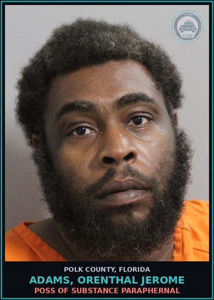 CCW arrest card for ADAMS, ORENTHAL JEROME in Polk County: Canna POSSESS Not More Than 20