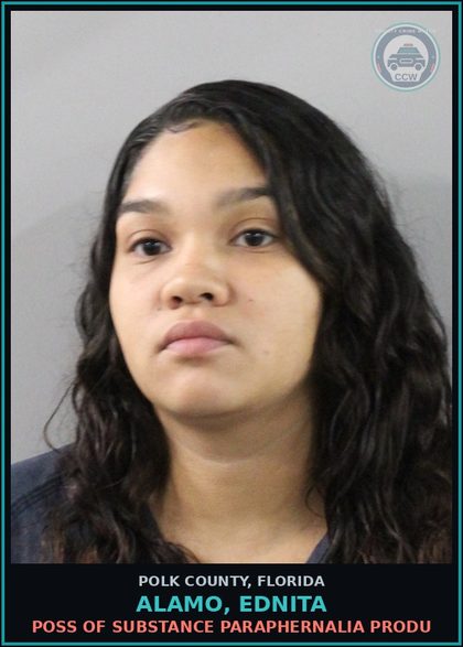 CCW arrest card for ALAMO, EDNITA in Polk County: Canna POSSESS Not More Than 20