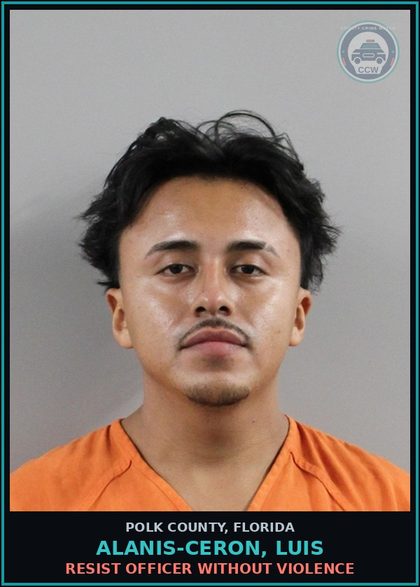 CCW arrest card for ALANIS-CERON, LUIS in Polk County: Resist Officer without Violence