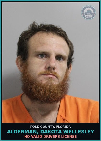 CCW arrest card for ALDERMAN, DAKOTA WELLESLEY in Polk County: No Valid Drivers License