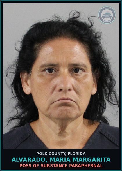 CCW arrest card for ALVARADO, MARIA MARGARITA in Polk County: POSS OF DRUG PARAPHERNAL