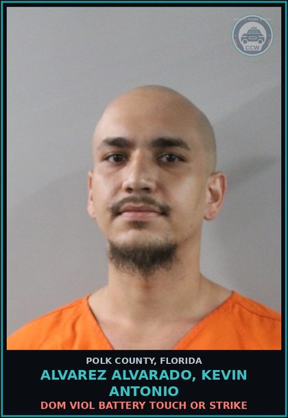 CCW arrest card for ALVAREZ ALVARADO, KEVIN ANTONIO in Polk County: Dom Viol Battery Touch or Strike