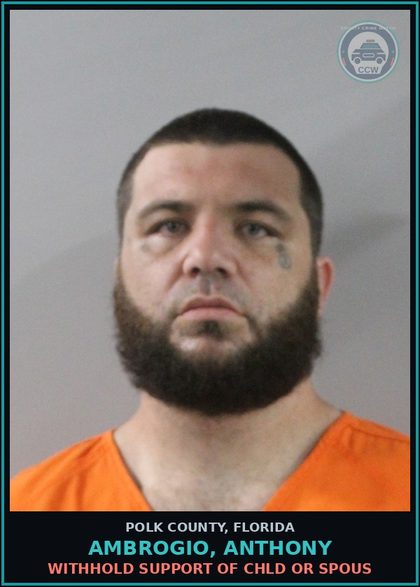 CCW arrest card for AMBROGIO, ANTHONY in Polk County: Withhold Support of chld or Spous