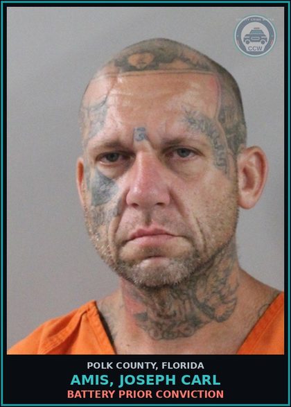 CCW arrest card for AMIS, JOSEPH CARL in Polk County: Battery Prior Conviction