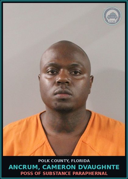 CCW arrest card for ANCRUM, CAMERON DVAUGHNTE in Polk County: POSS OF DRUG PARAPHERNAL