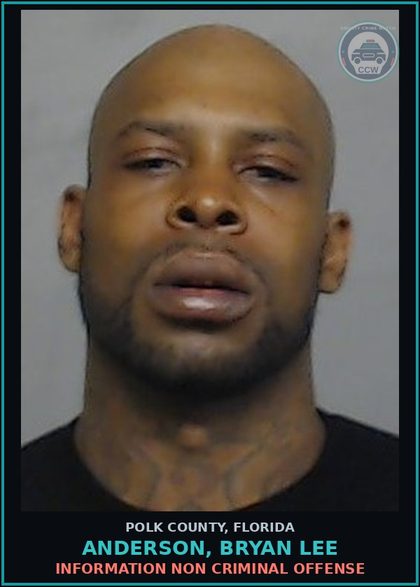 CCW arrest card for ANDERSON, BRYAN LEE in Polk County: Information Non Criminal Offense