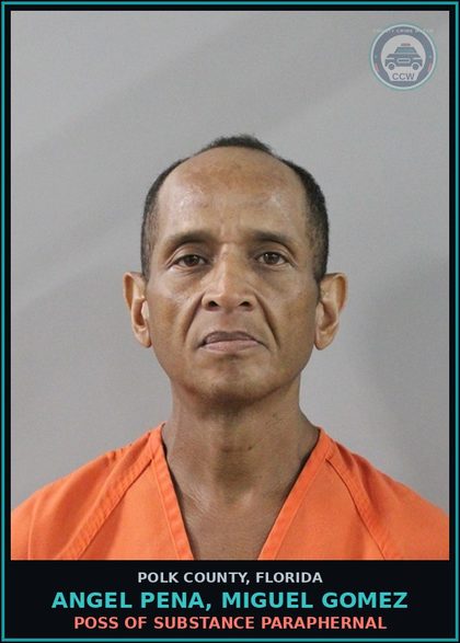 CCW arrest card for ANGEL PENA, MIGUEL GOMEZ in Polk County: Attempted Tampering With Evidence