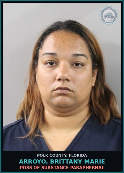 CCW arrest card for ARROYO, BRITTANY MARIE in Polk County: Canna POSSESS Not More Than 20
