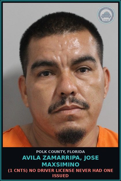 CCW arrest card for AVILA ZAMARRIPA, JOSE MAXSIMINO in Polk County: (1 cnts) NO DRIVER LICENSE NEVER HAD ONE ISSUED