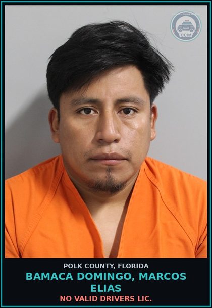 CCW arrest card for BAMACA DOMINGO, MARCOS ELIAS in Polk County: No Valid Drivers Lic.