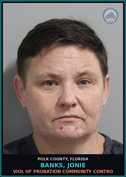 CCW arrest card for BANKS, JONIE in Polk County: Viol of Probation Community Contro