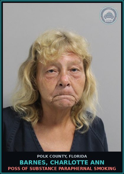 CCW arrest card for BARNES, CHARLOTTE ANN in Polk County: POSS OF DRUG PARAPHERNAL SMOKING