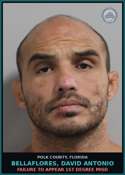 CCW arrest card for BELLAFLORES, DAVID ANTONIO in Polk County: FAILURE TO APPEAR 1st Degree Misd