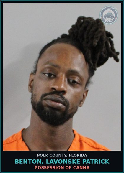 CCW arrest card for BENTON, LAVONSKE PATRICK in Polk County: POSSESSION OF Canna